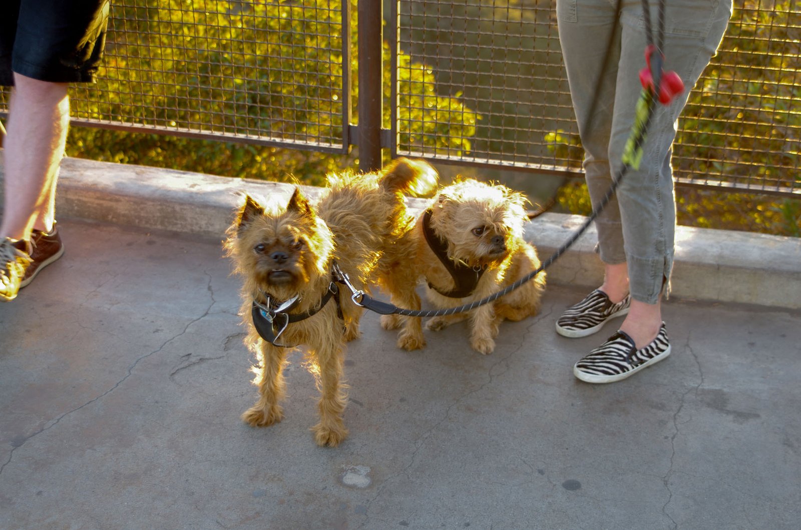 Griffith Observatory  069